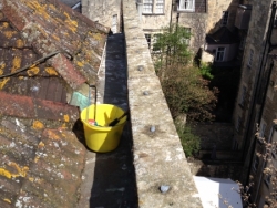 Anti seagull & pigeon gel application in process