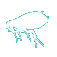 Flea Removal Pest Removal